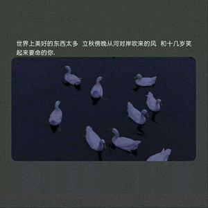 仓井空无码草逼
